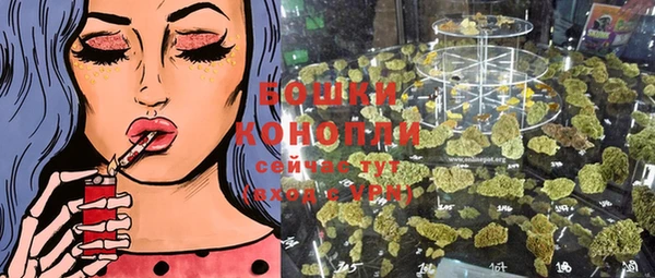 МДПВ Слюдянка