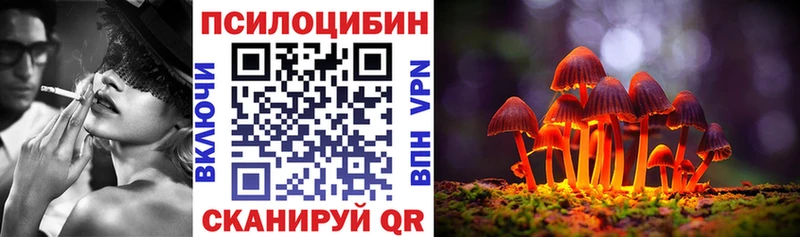 Купить где  Тверь  Галлюциногенные грибы Psilocybe 